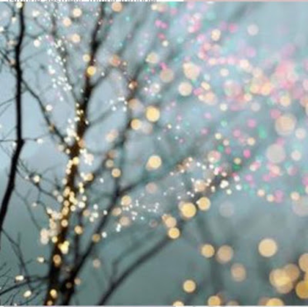 Meet your Posher, Isabella